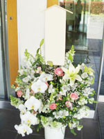 ���ԃC���[�W