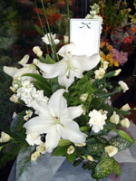 ���ԃC���[�W