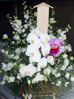 ���ԃC���[�W